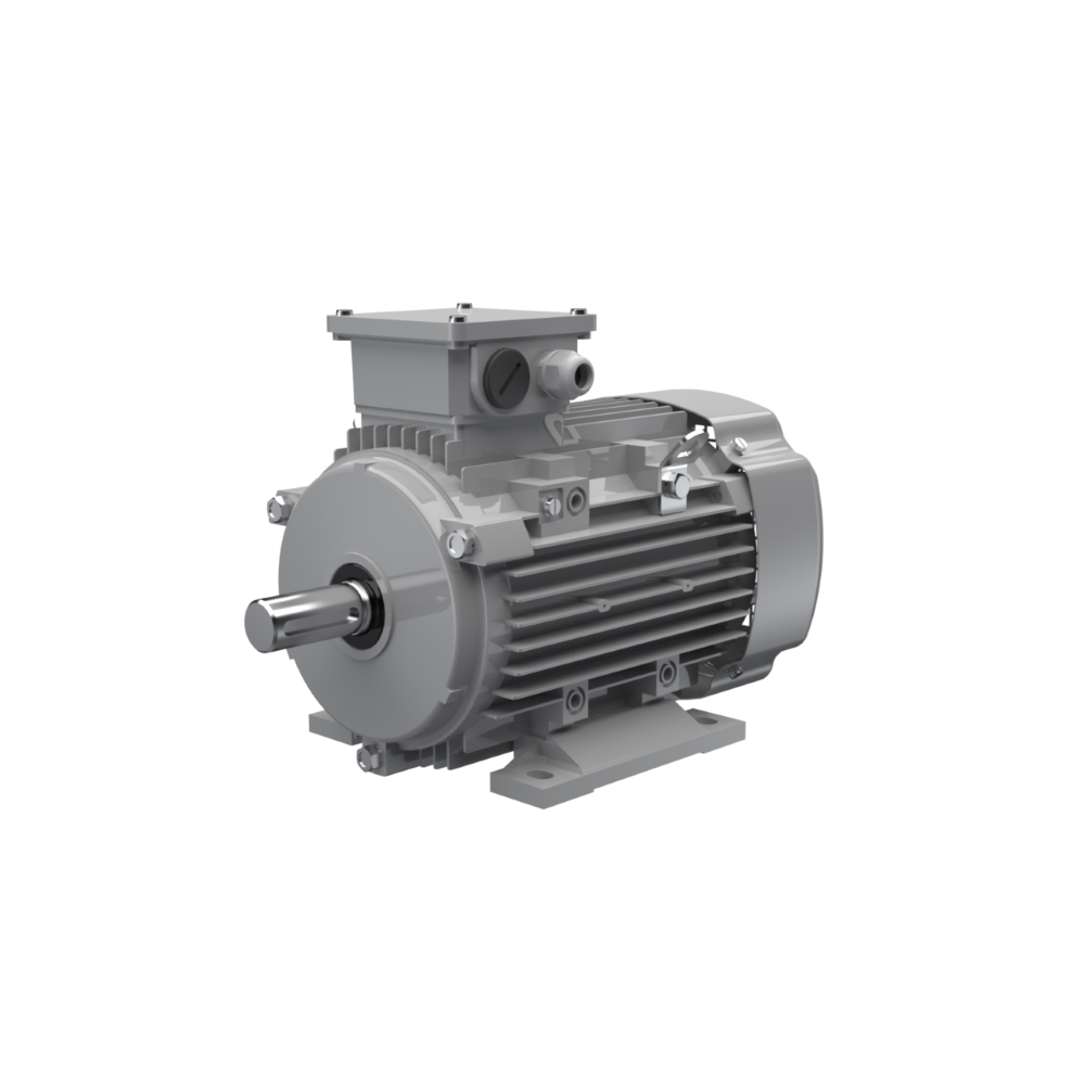 AC-Motoren ASA 80d-2 ATEX electric motor