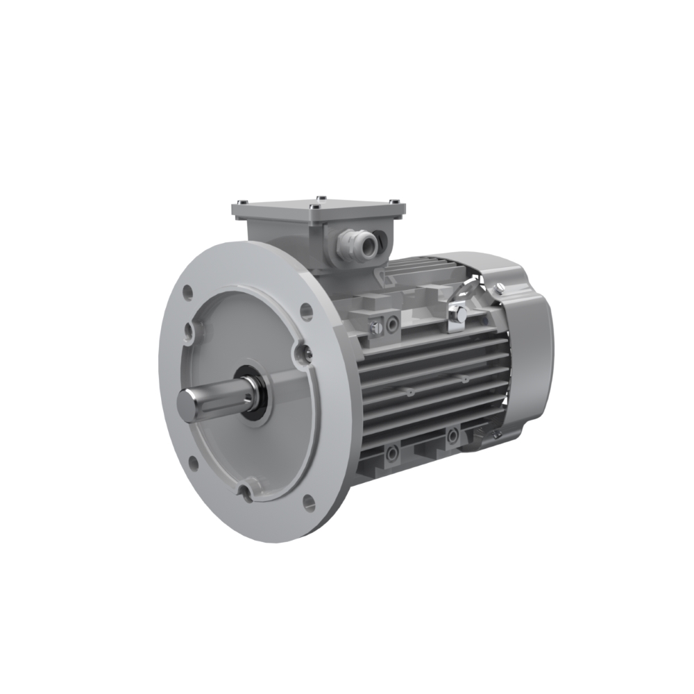 AC-Motoren FCA 100LB 4 electric motor