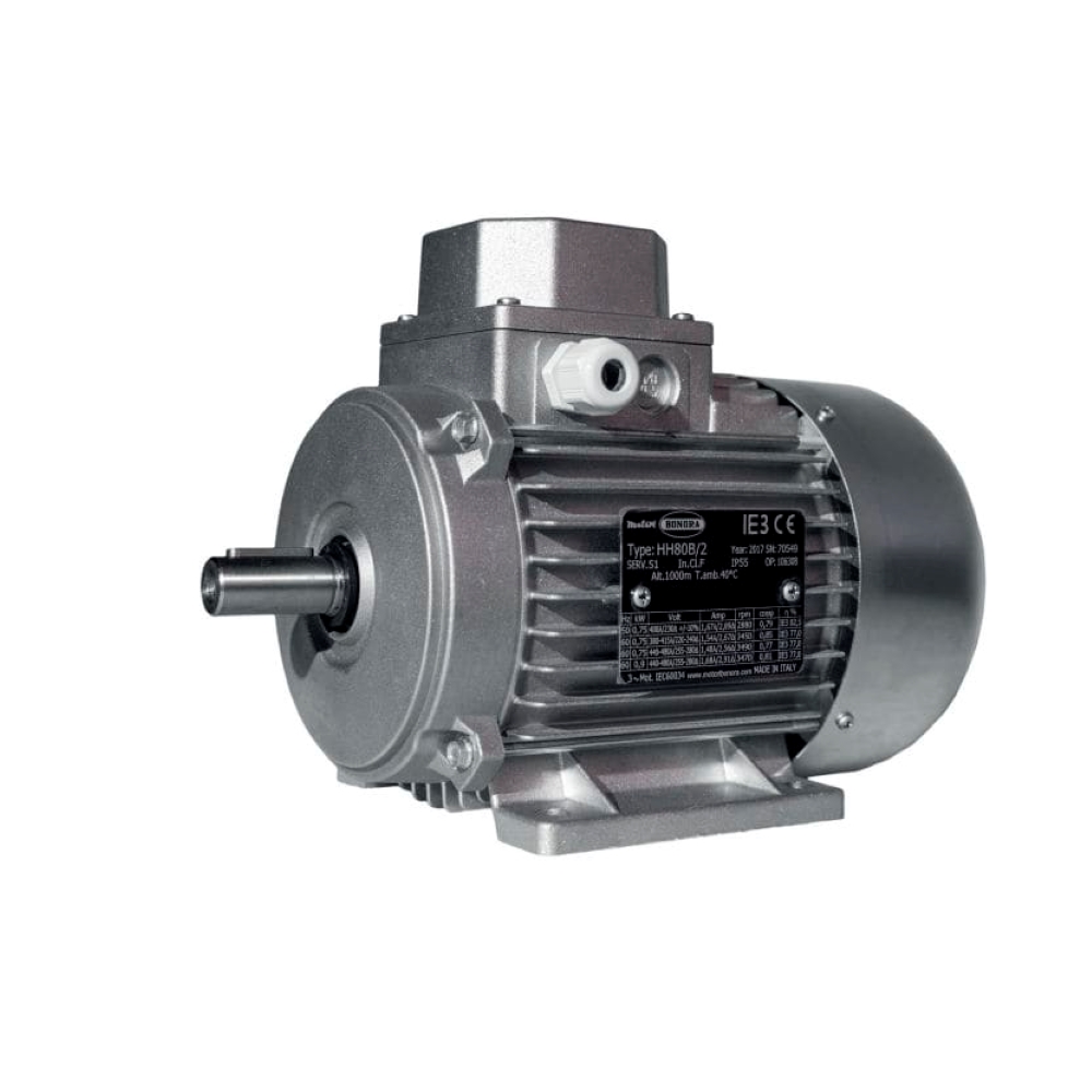 Bonora 3CP100LD/2 electric motor