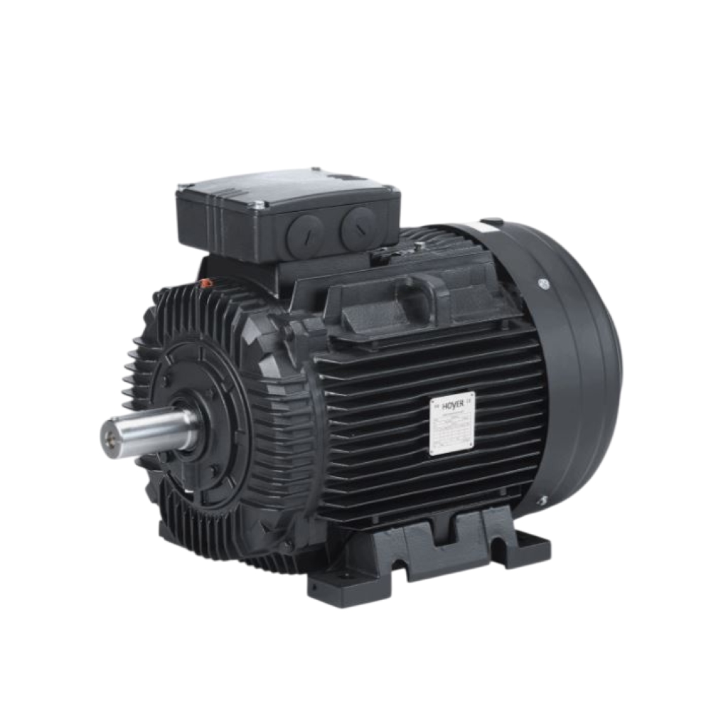 Hoyer Y2160M4 B3 Electric motor