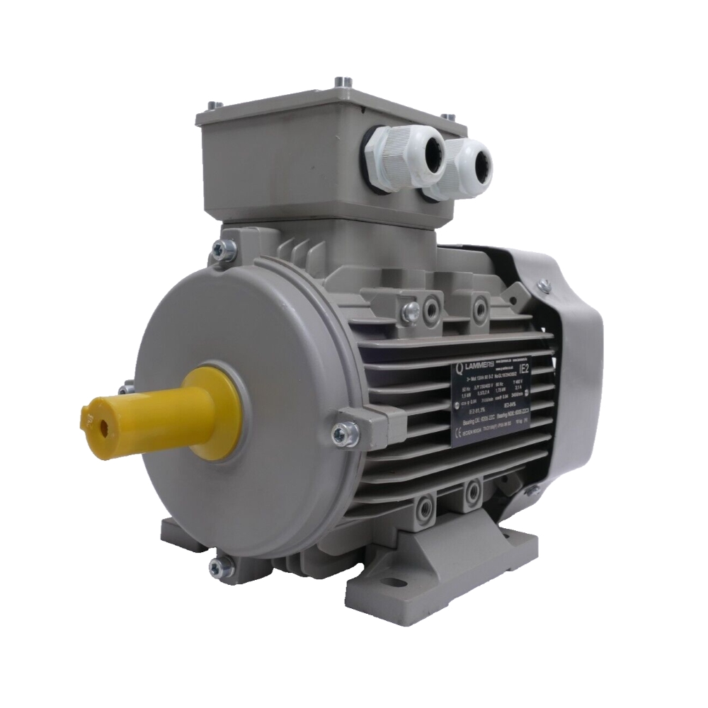 Electric motor LAMMERS 1TZ9503-2BB03-4AB4-Z, 225S, IP55, B3