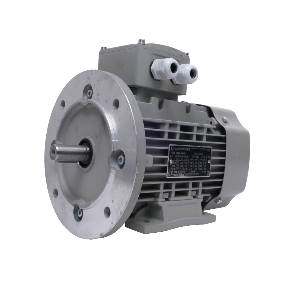 Electric motor LAMMERS 1TZ9503-1EB23-4FA4-Z, 180M, IP55, B5