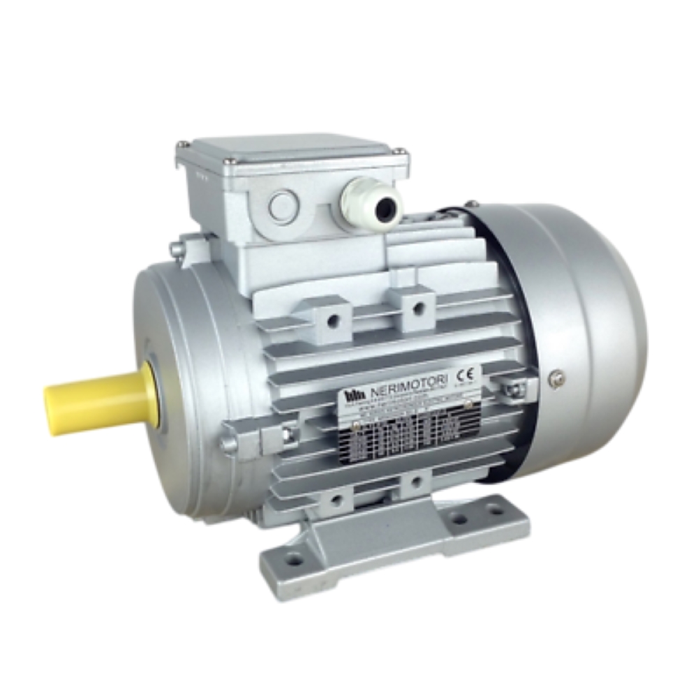 Neri Motori T63B6 Electric Motor