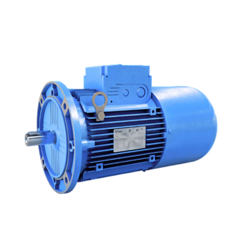 Electric motor Rossi R000134317 Electric motor with electromagnetic brake HBZ 160M6
