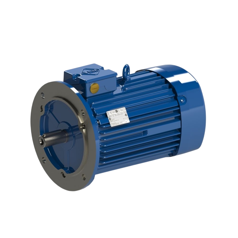 Electric motor VEM YE1R 225M 4 NS SL SLH TPM HW V1